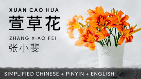 Zhang Xiaofei – Daylilies