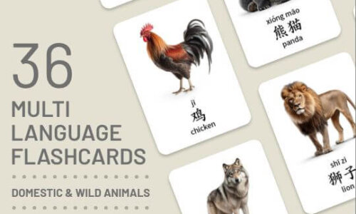 Flashcards – Animals