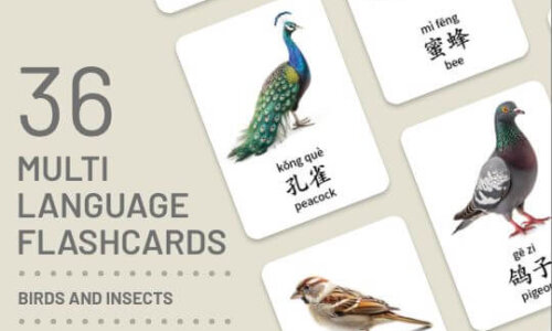 Flashcards – Birds & Insects