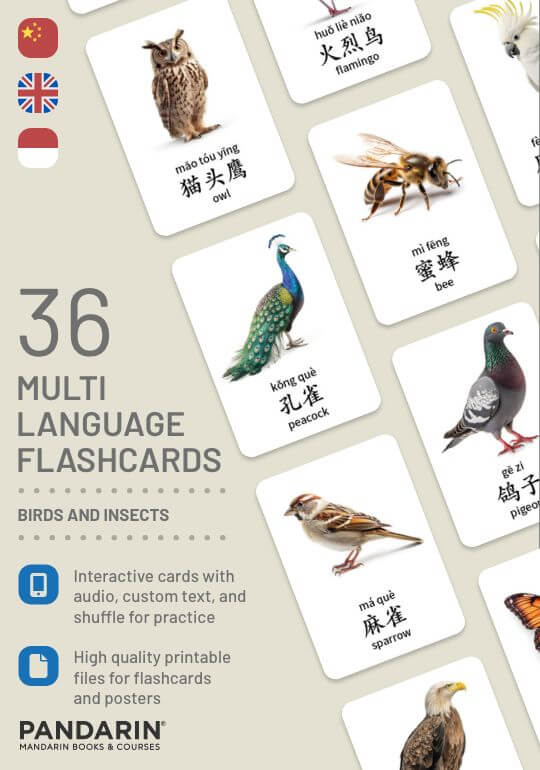 Flashcards – Birds & Insects