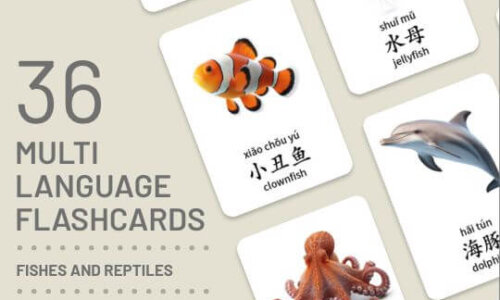 Flashcards – Fishes & Reptiles