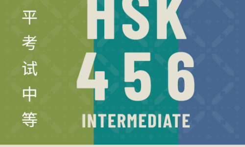 New HSK 456 Writing